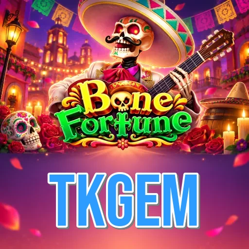 Version History tkgem